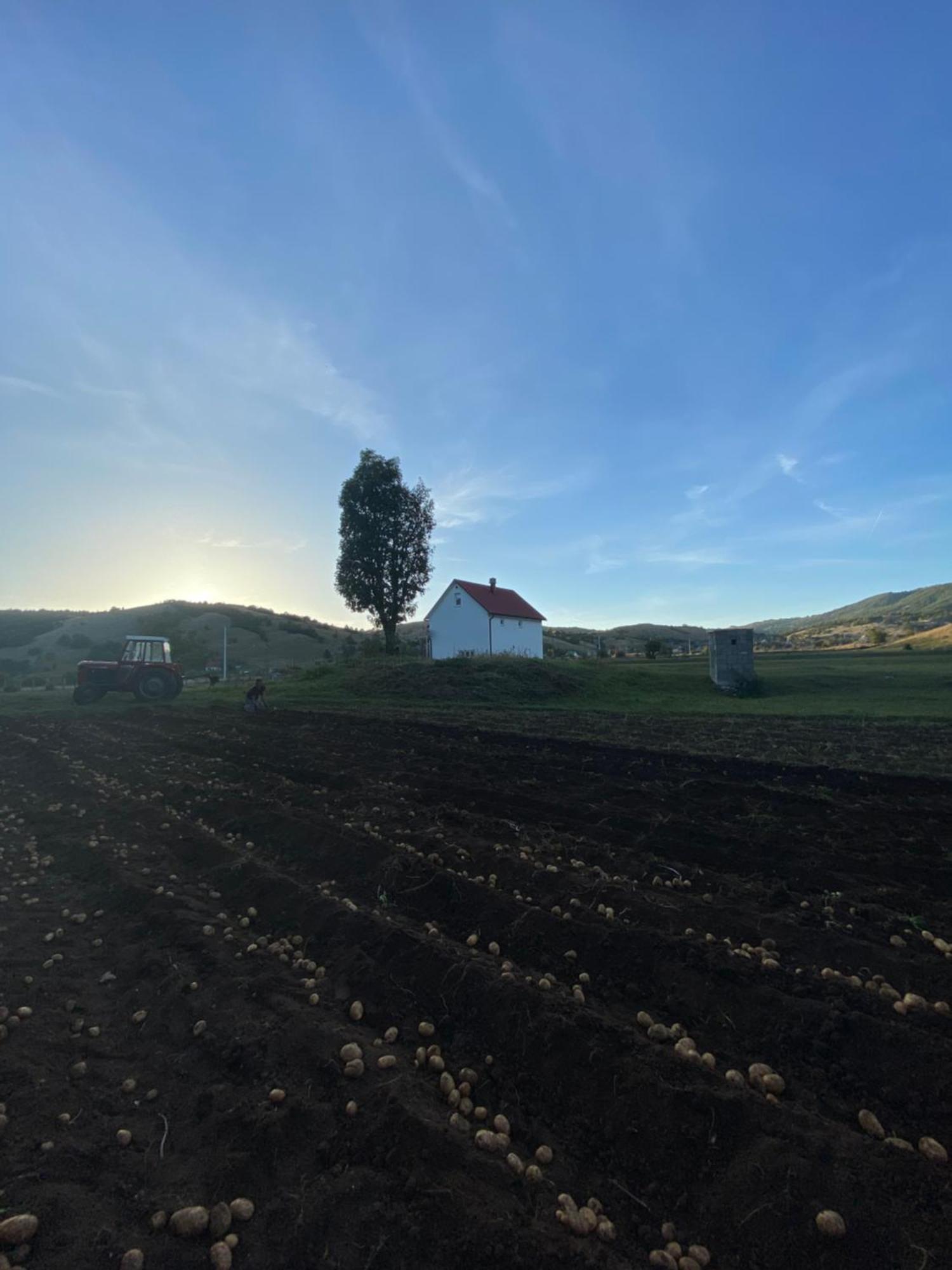 Komarnica Savnik Exterior foto